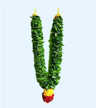 Bettle Garland